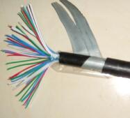 PTYA22，PTY22，PTYV信號電纜